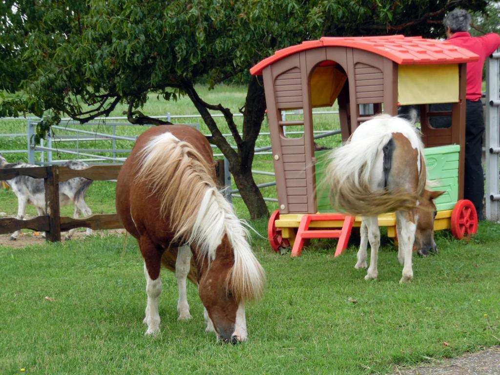 ماجنتي Bed And Breakfast Azienda Agricola Cascina Salazzara المظهر الخارجي الصورة